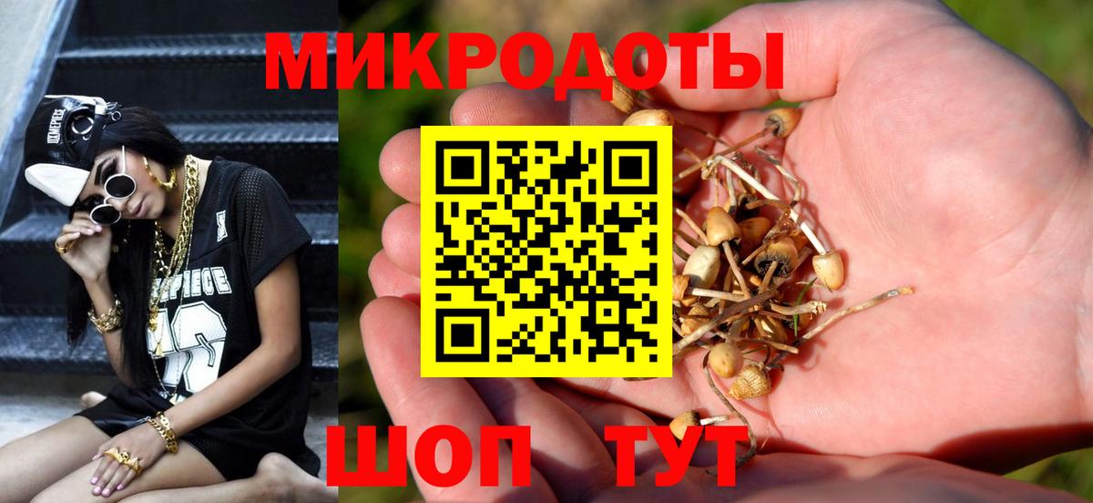 Псилоцибиновые грибы Psilocybine cubensis  Вход с VPN  Старая Купавна 