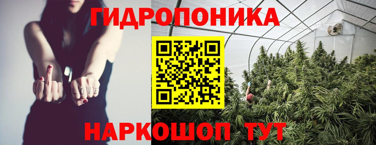Шишки марихуана марихуана  Вход с VPN  Старая Купавна  Марихуана сатива  Канабис VHQ 